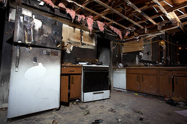 Licensed Fire Damage Removal service in Sutton-Alpine, AK - Meridian Smoke Damage